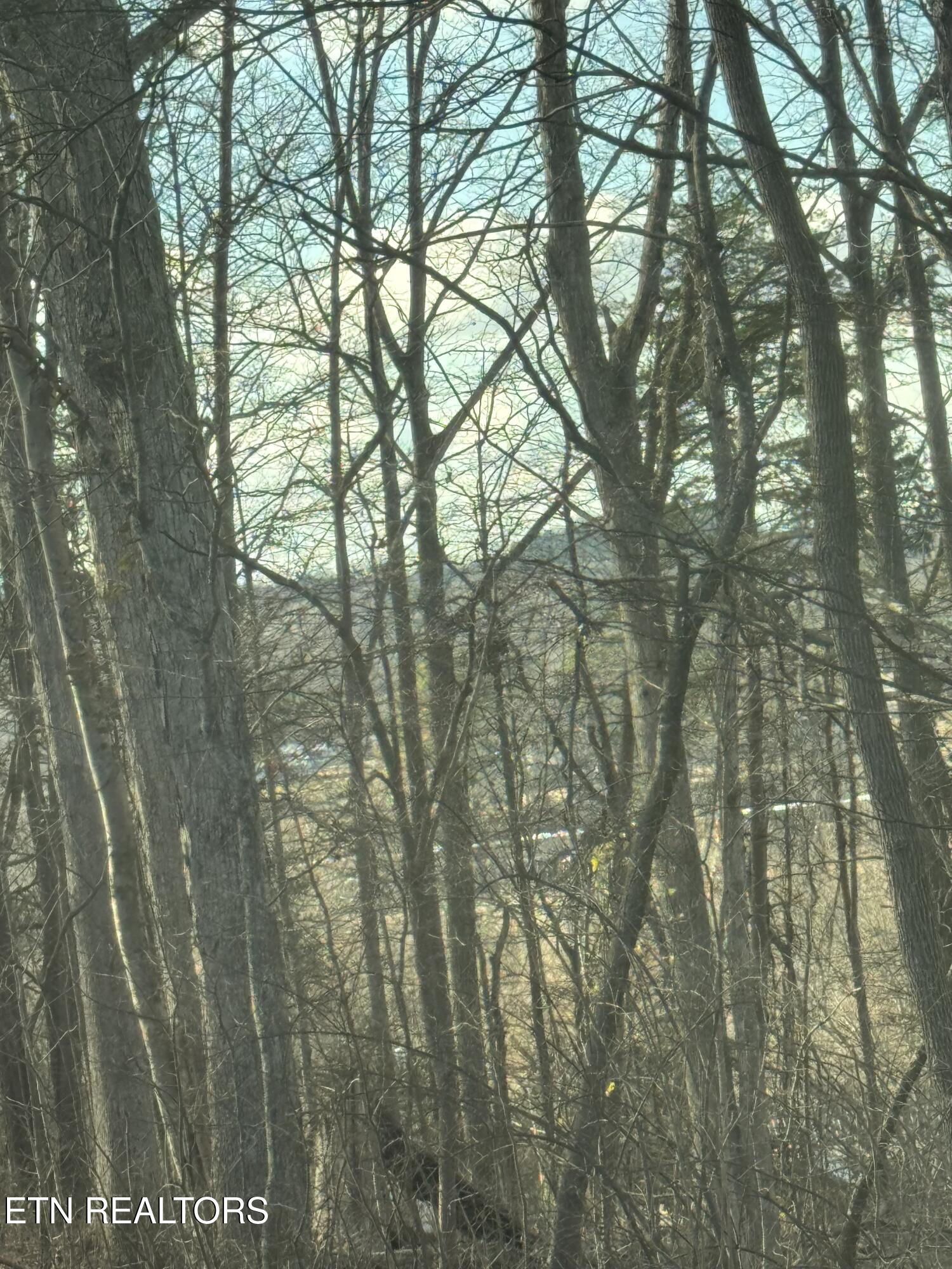 904 County Road Etowah TN 37331