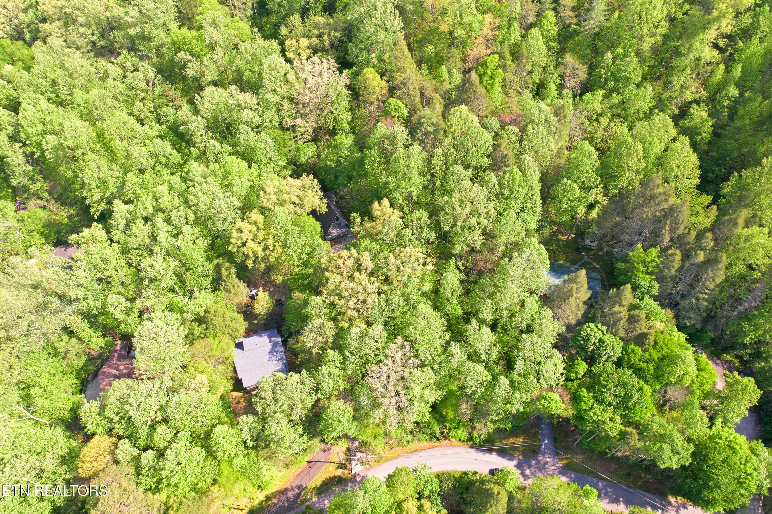 Domar Drive Townsend TN 37882