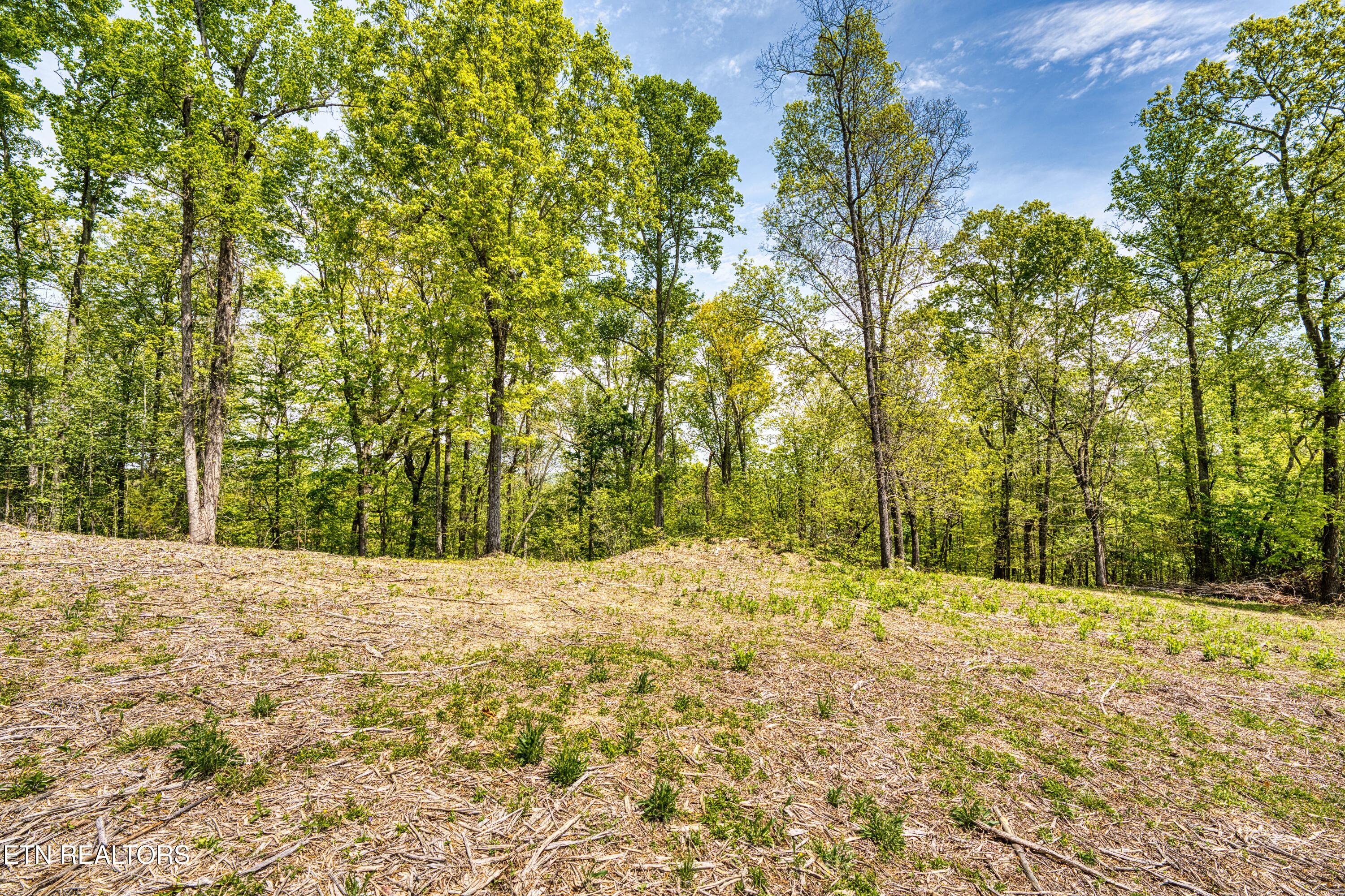 1003 Sheerwater Road Kingston TN 37763