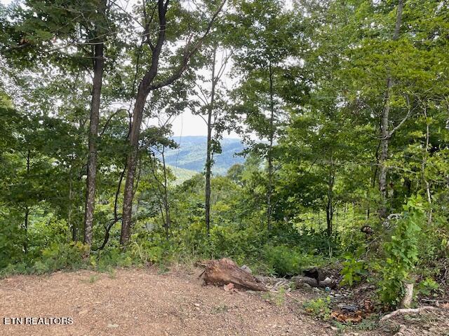 Buffalo Road/stanley Creek Huntsville TN 37756
