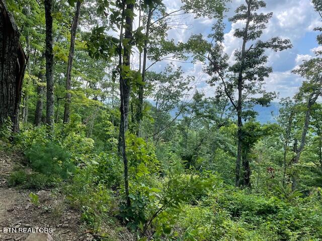 Buffalo Road/stanley Creek Huntsville TN 37756