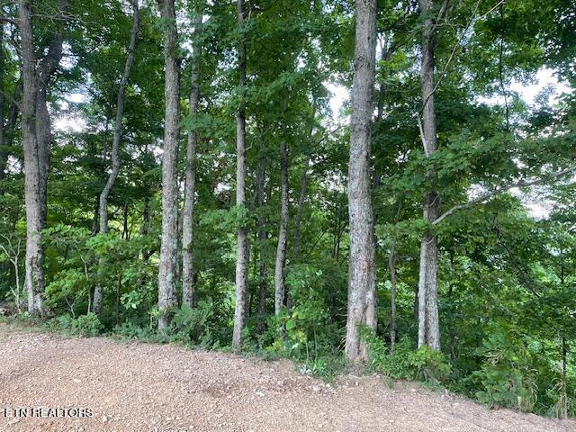Buffalo Road/stanley Creek Huntsville TN 37756