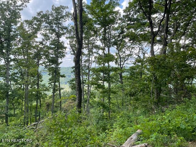 Buffalo Road/stanley Creek Huntsville TN 37756