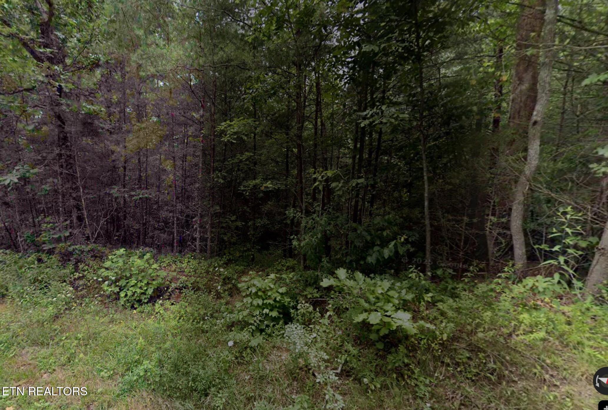 Gladys Road Deer Lodge TN 37726