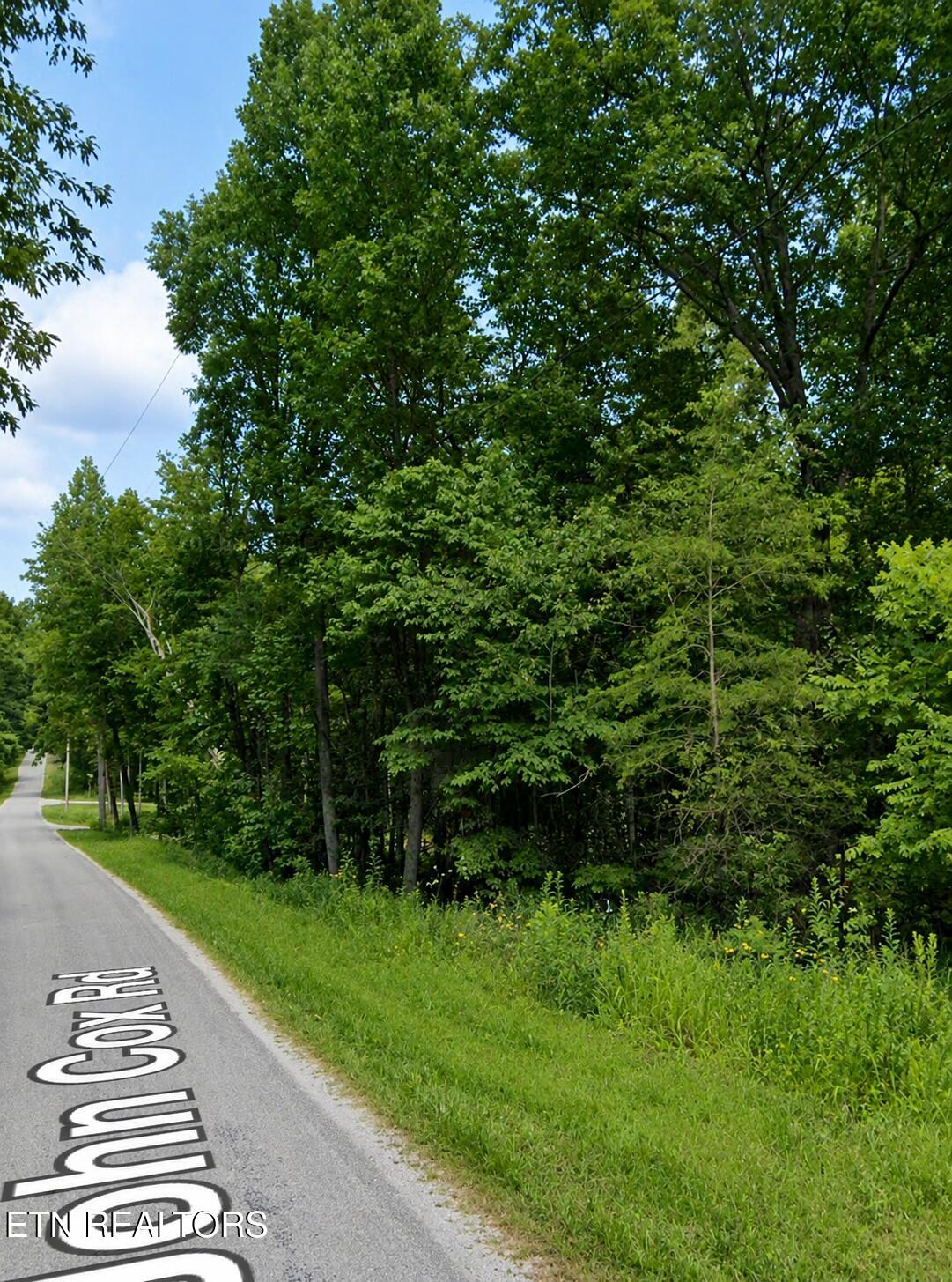 Gladys Road Deer Lodge TN 37726