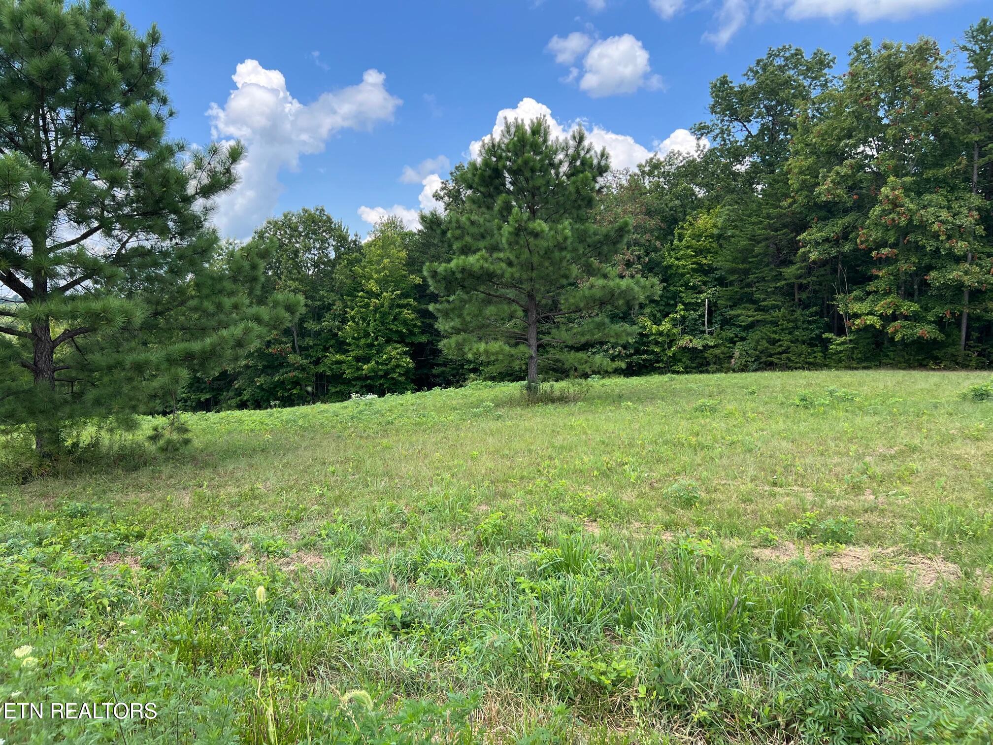 Lot 55 Canter Hill Jamestown TN 38556