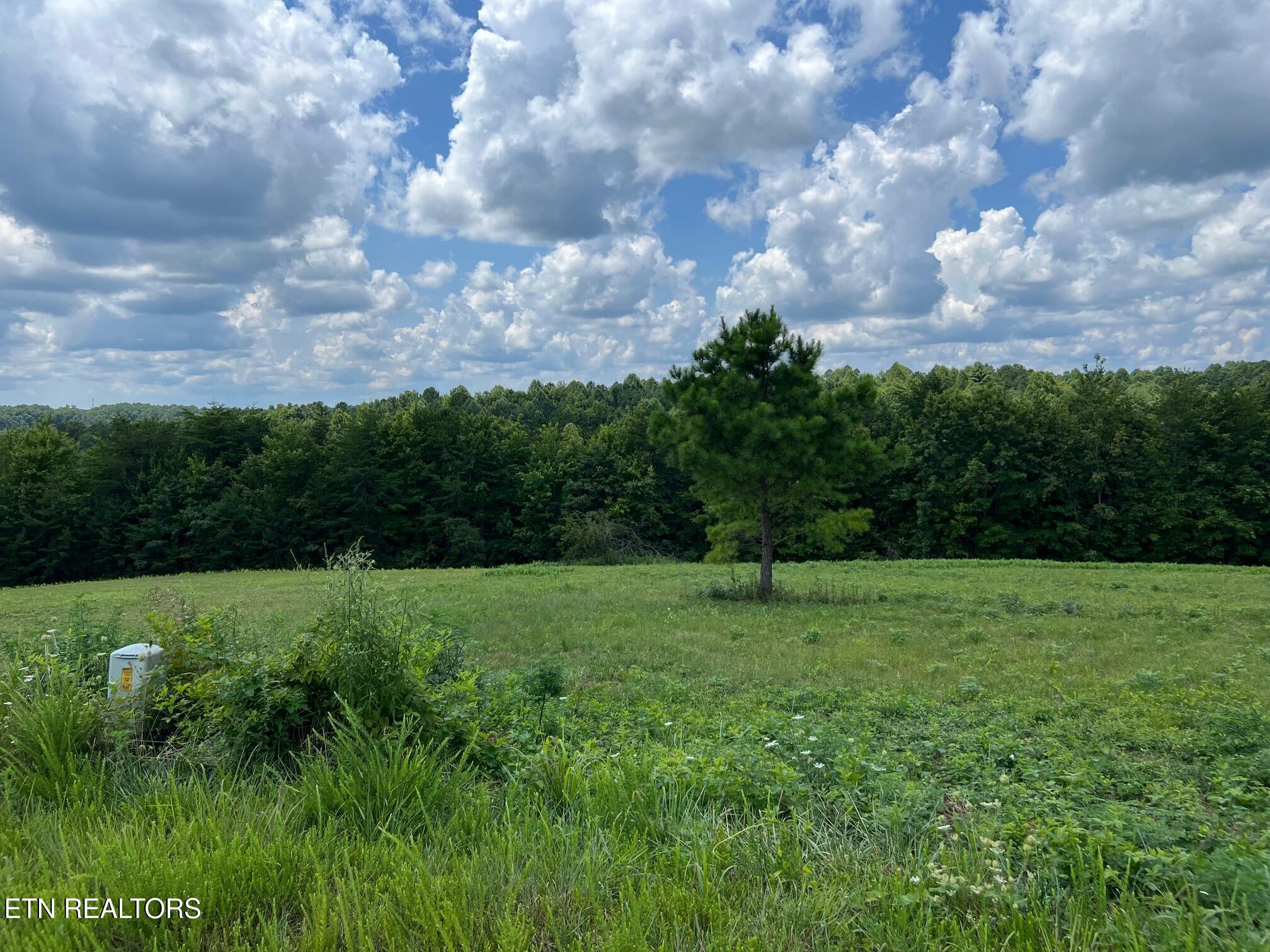 Lot 55 Canter Hill Jamestown TN 38556