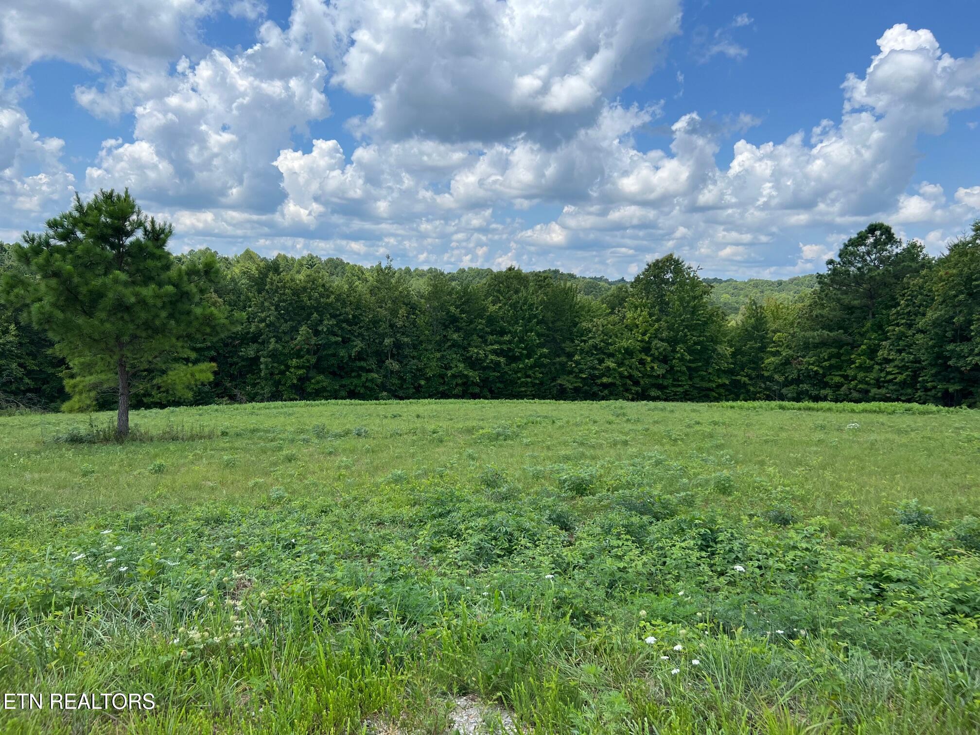 Lot 55 Canter Hill Jamestown TN 38556