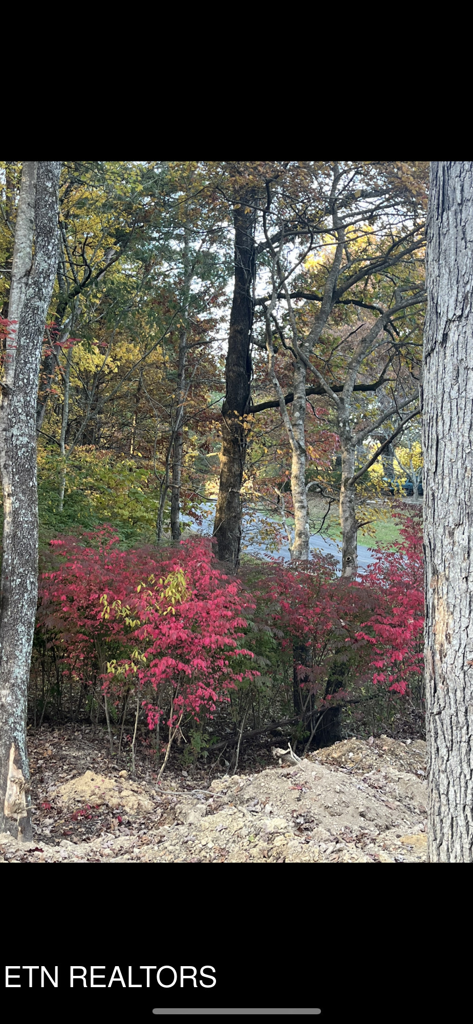 110 Cherokee Path Tellico Plains TN 37385