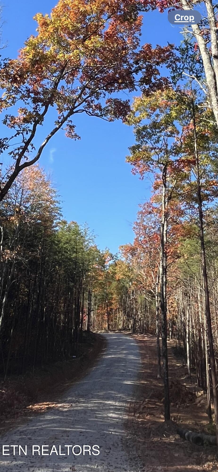 110 Cherokee Path Tellico Plains TN 37385
