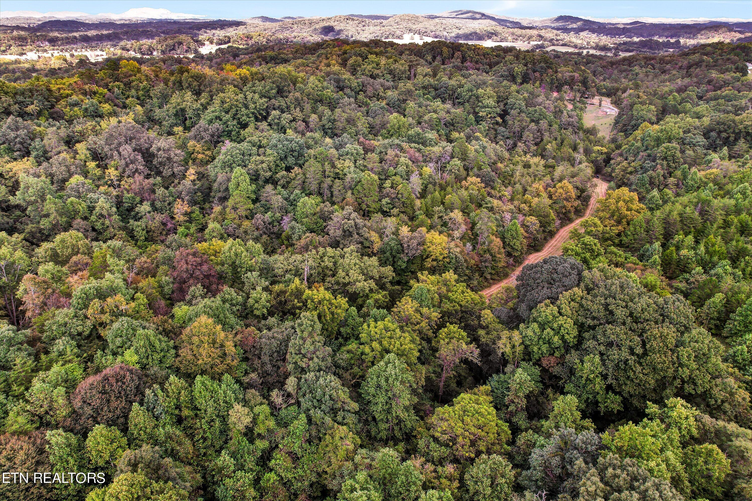 0 French Road Knoxville TN 37920