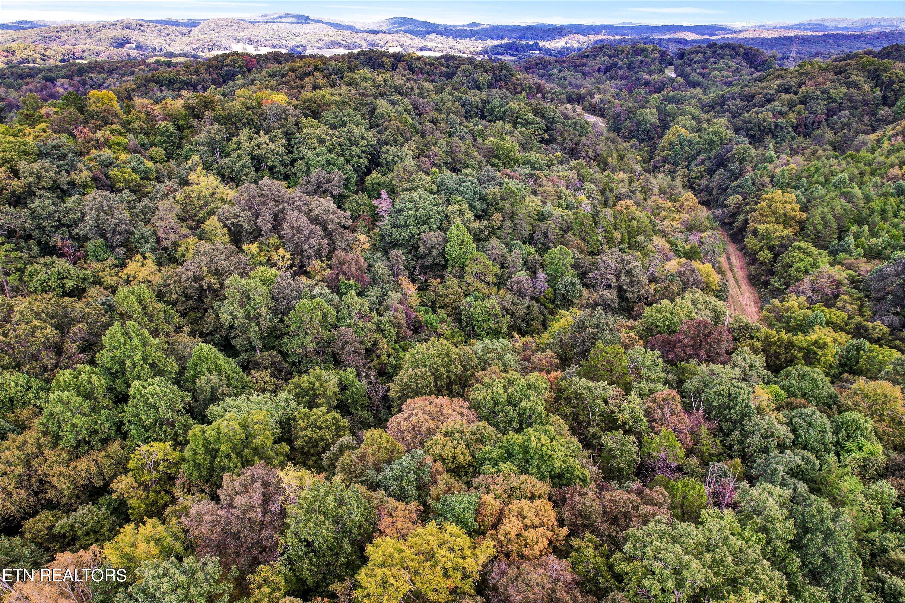0 French Road Knoxville TN 37920