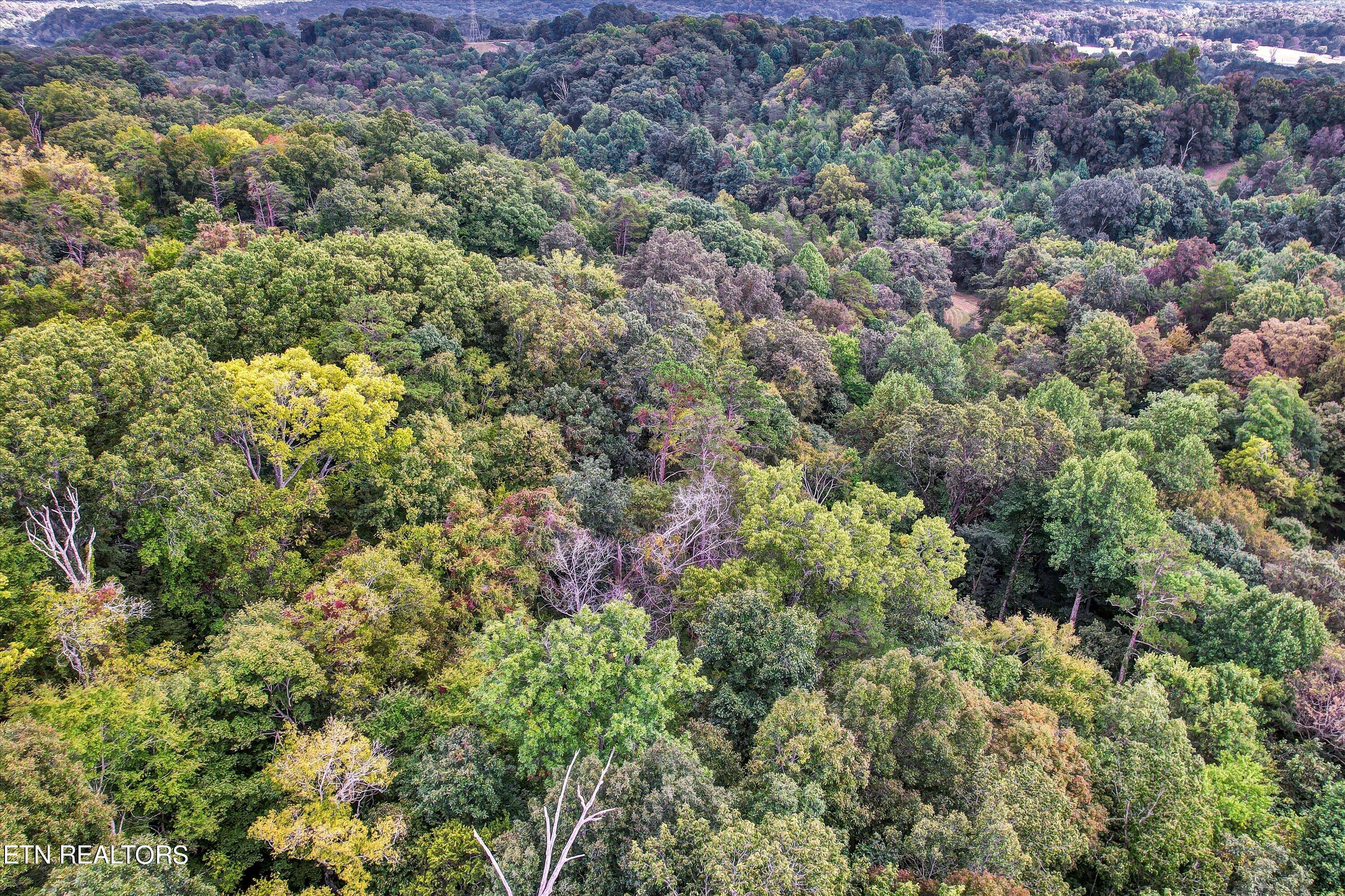 0 French Road Knoxville TN 37920