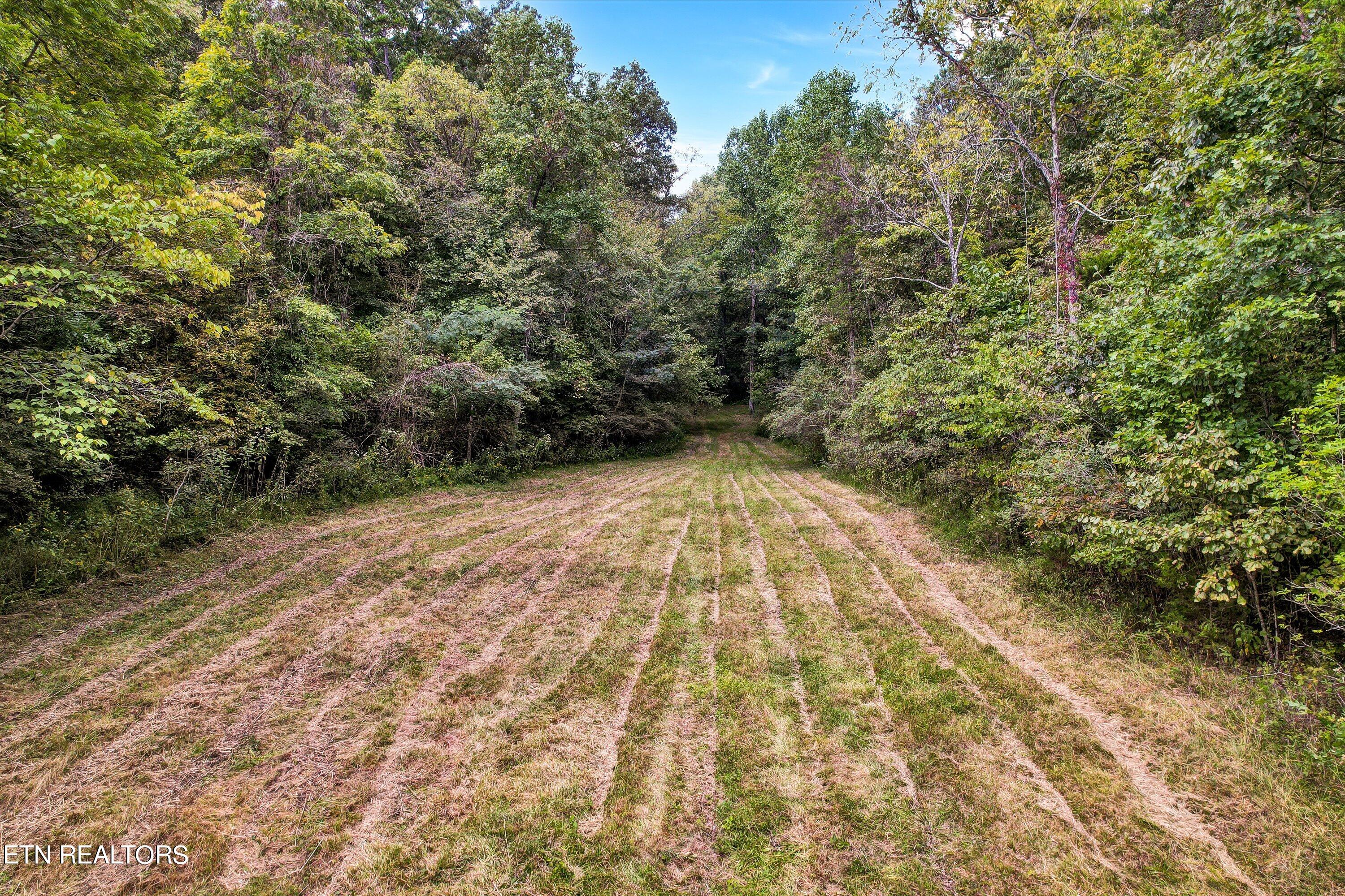 0 French Road Knoxville TN 37920