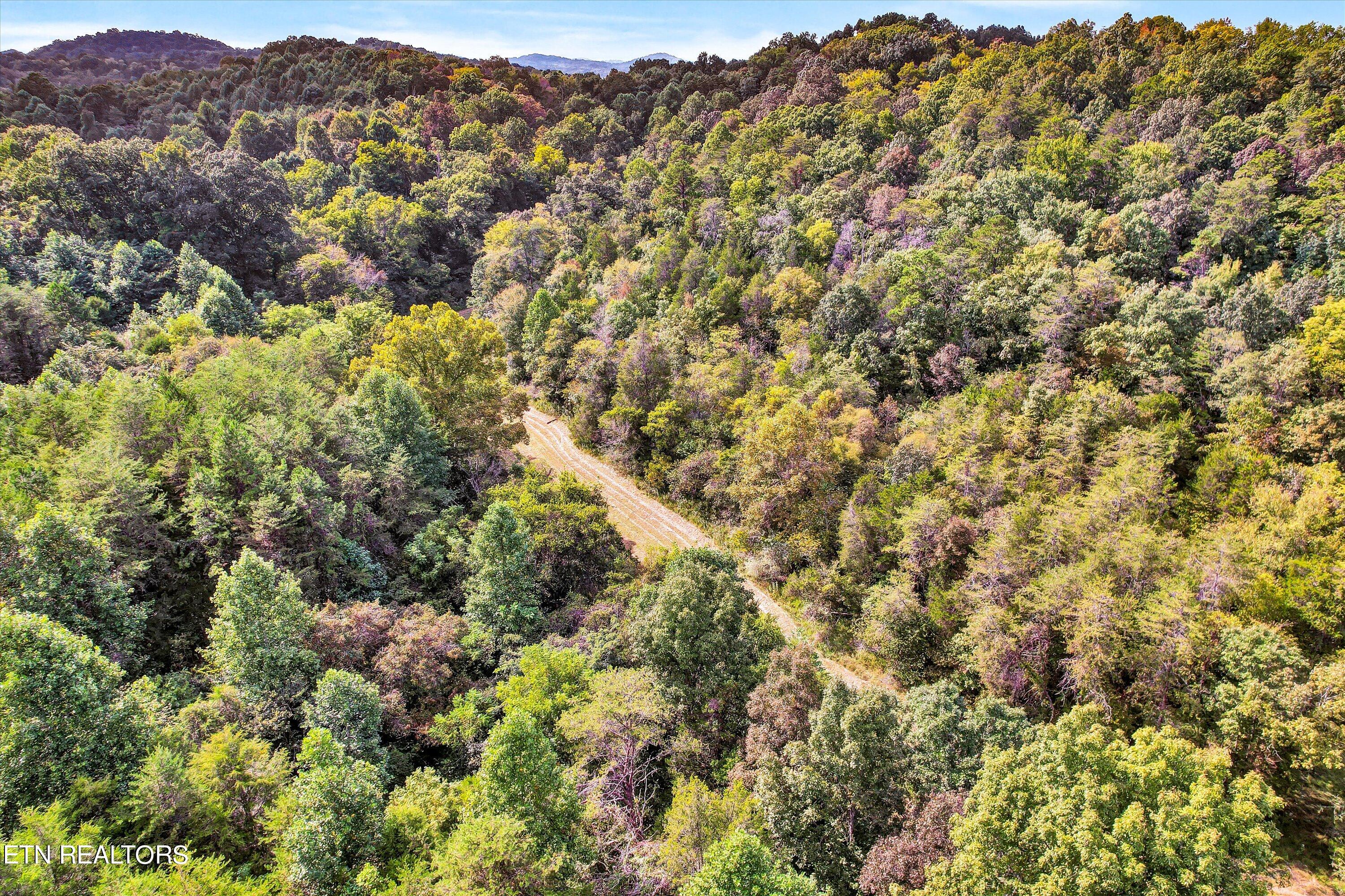 0 French Road Knoxville TN 37920