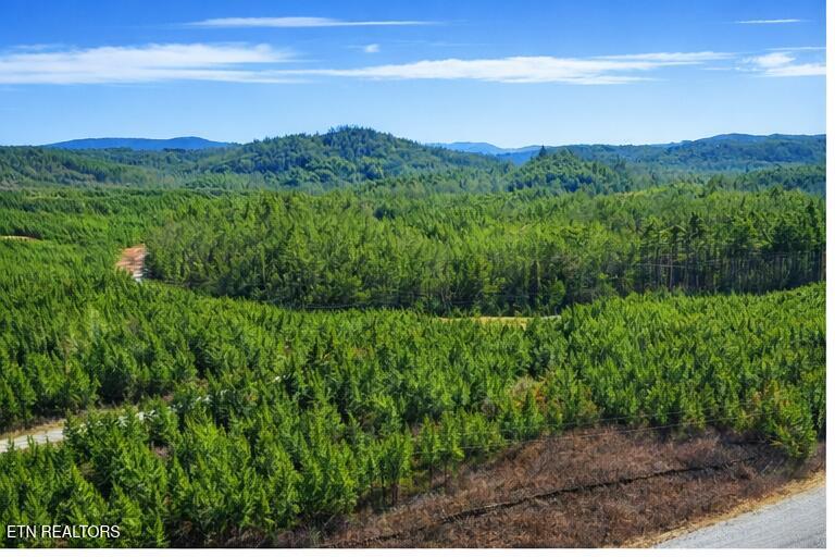Ridgeline Drive Vonore TN 37885