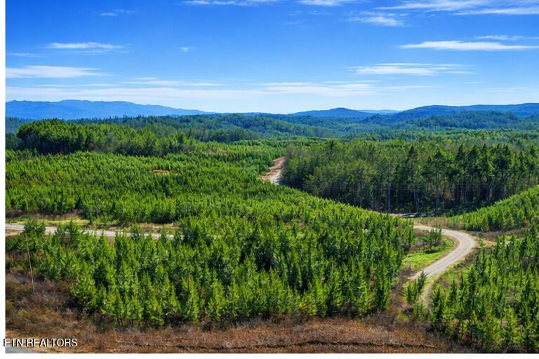 Ridgeline Drive Vonore TN 37885