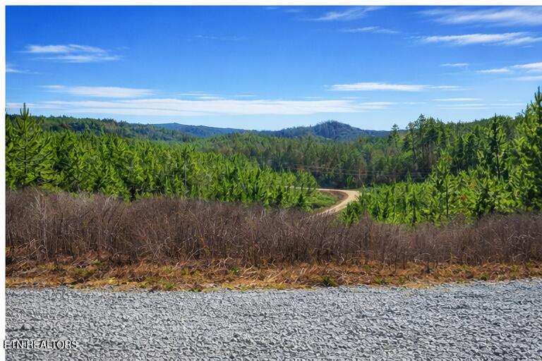 Ridgeline Drive Vonore TN 37885