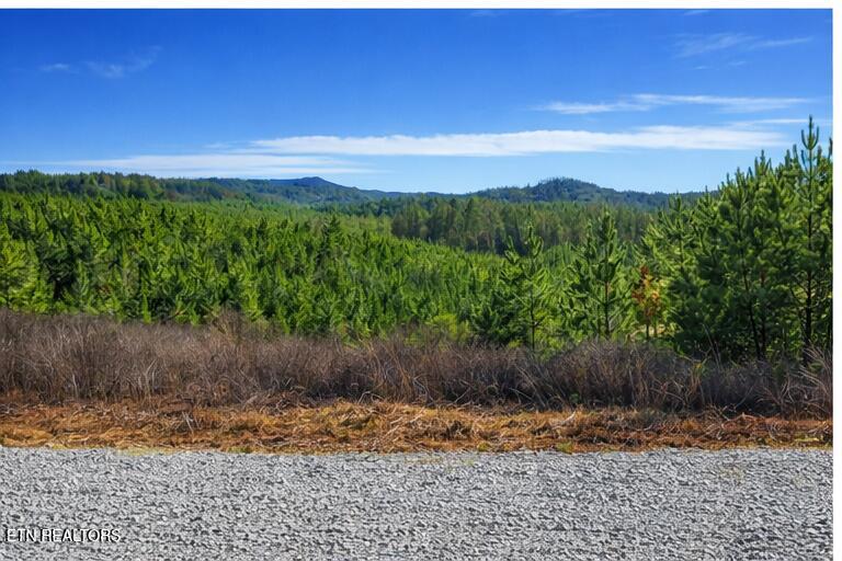 Ridgeline Drive Vonore TN 37885
