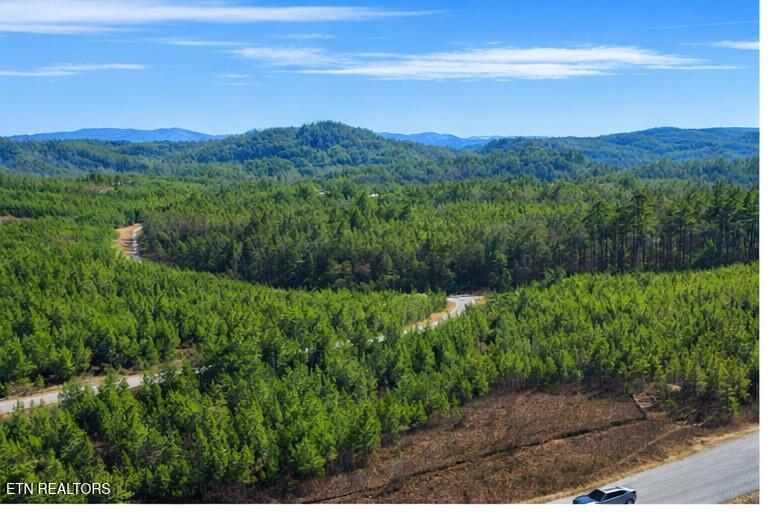 Ridgeline Drive Vonore TN 37885