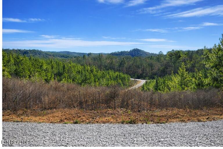 Ridgeline Drive Vonore TN 37885