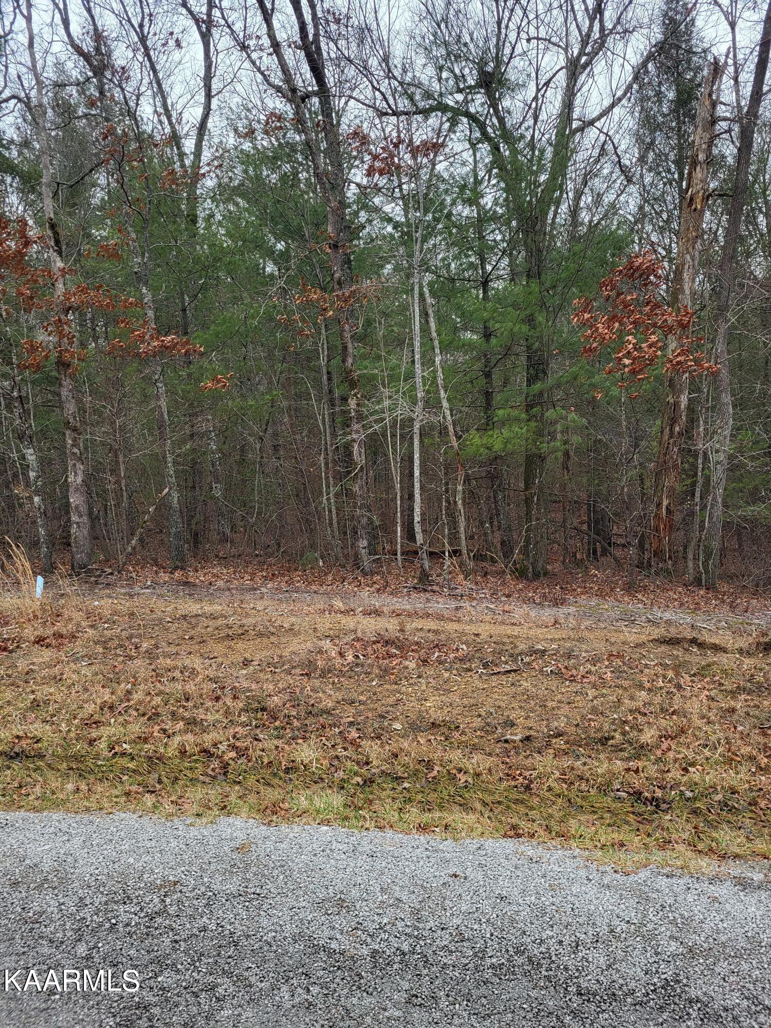 13 Dovecote Terrace Crossville TN 38558
