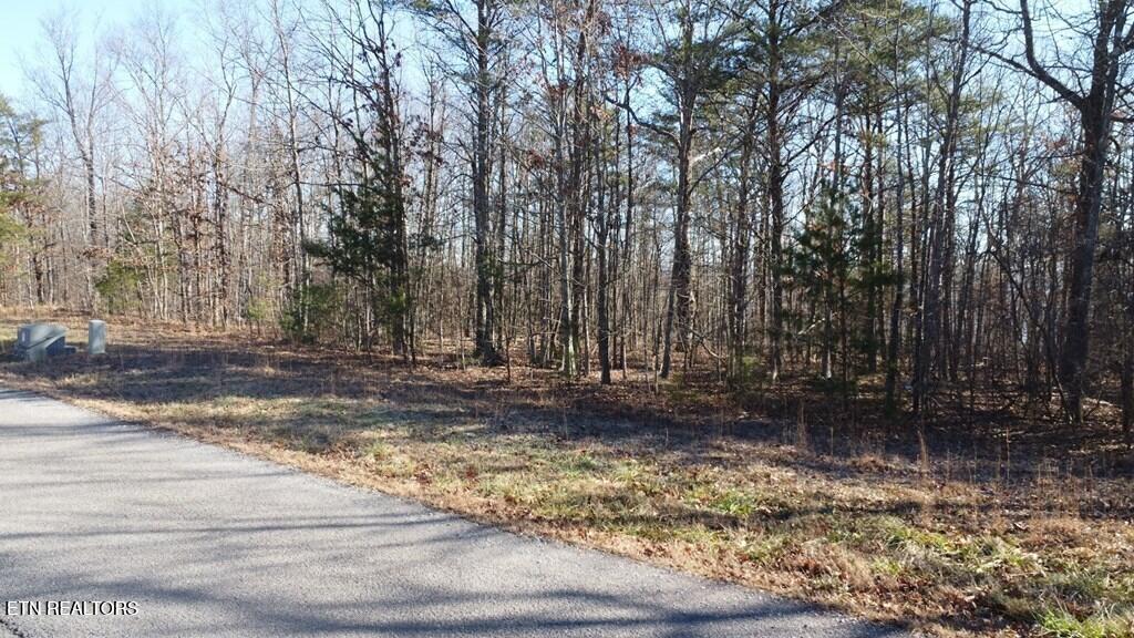 47A Gray Rock View Pikeville TN 37367