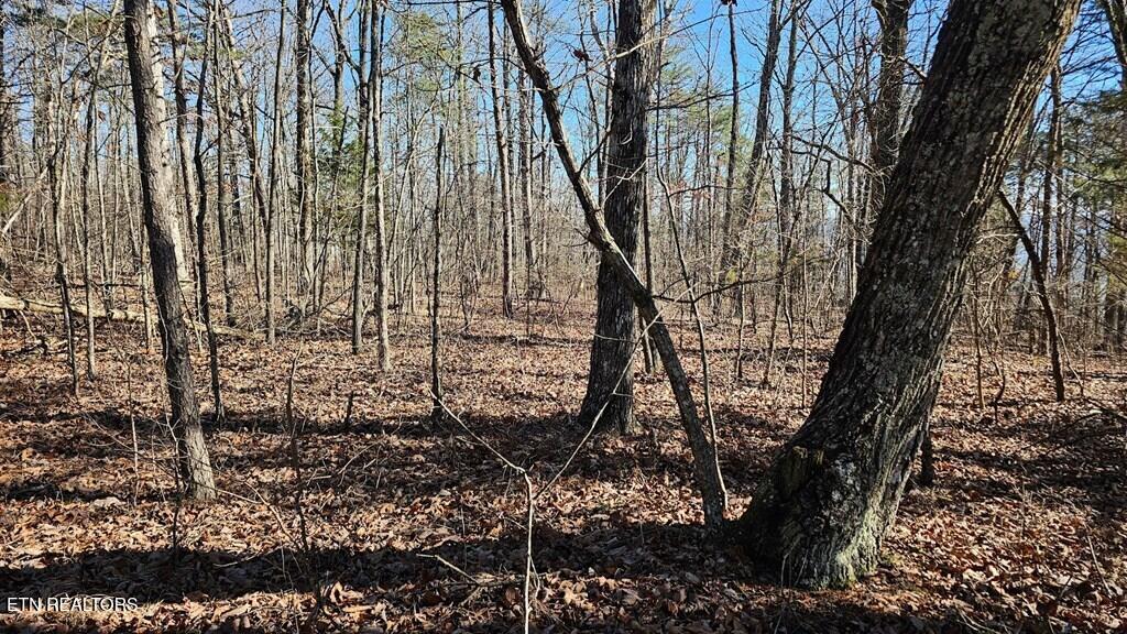 47A Gray Rock View Pikeville TN 37367