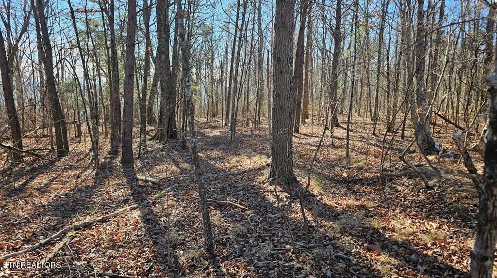 47A Gray Rock View Pikeville TN 37367
