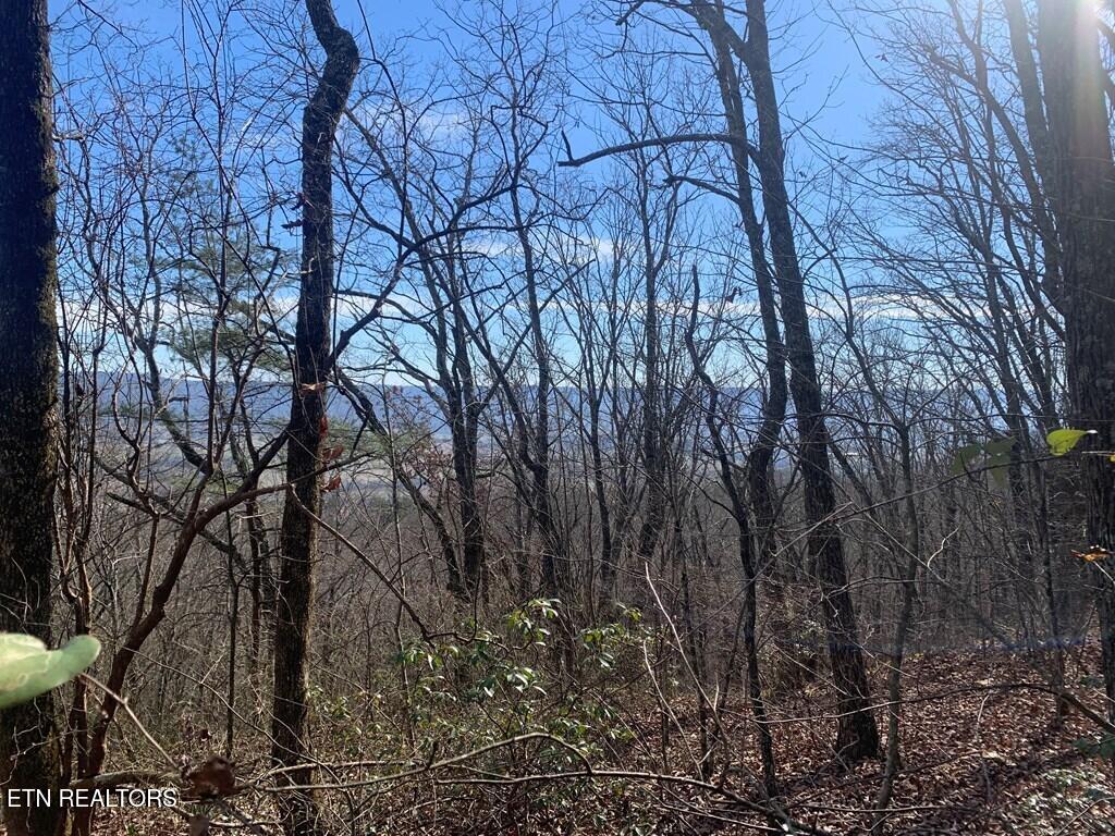 47A Gray Rock View Pikeville TN 37367