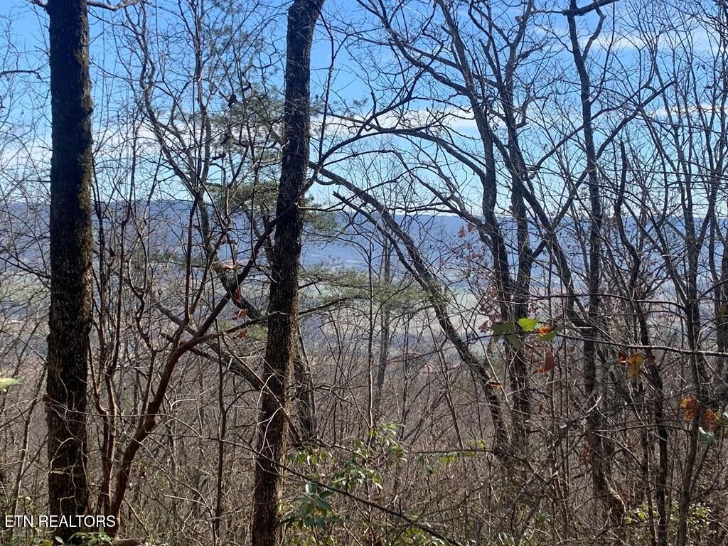 47A Gray Rock View Pikeville TN 37367