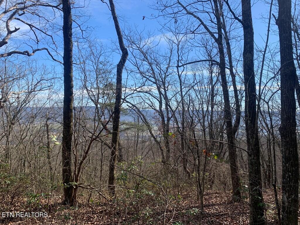 47A Gray Rock View Pikeville TN 37367