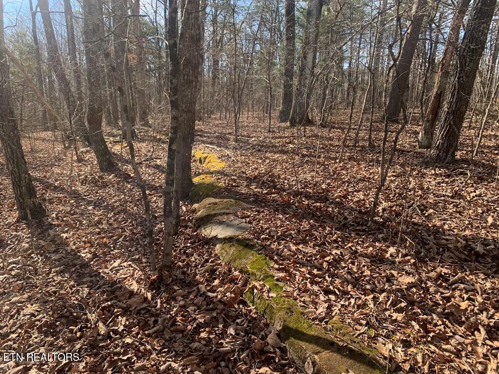 47A Gray Rock View Pikeville TN 37367