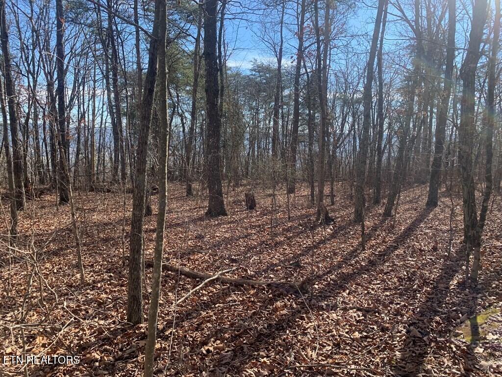 47A Gray Rock View Pikeville TN 37367