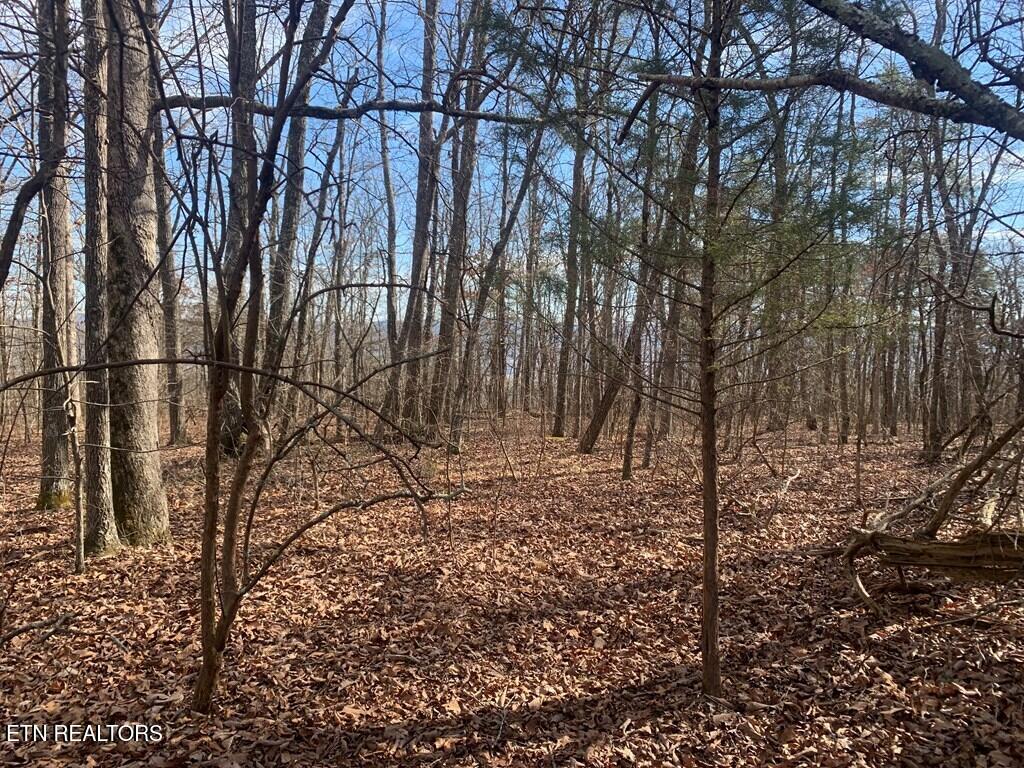 47A Gray Rock View Pikeville TN 37367