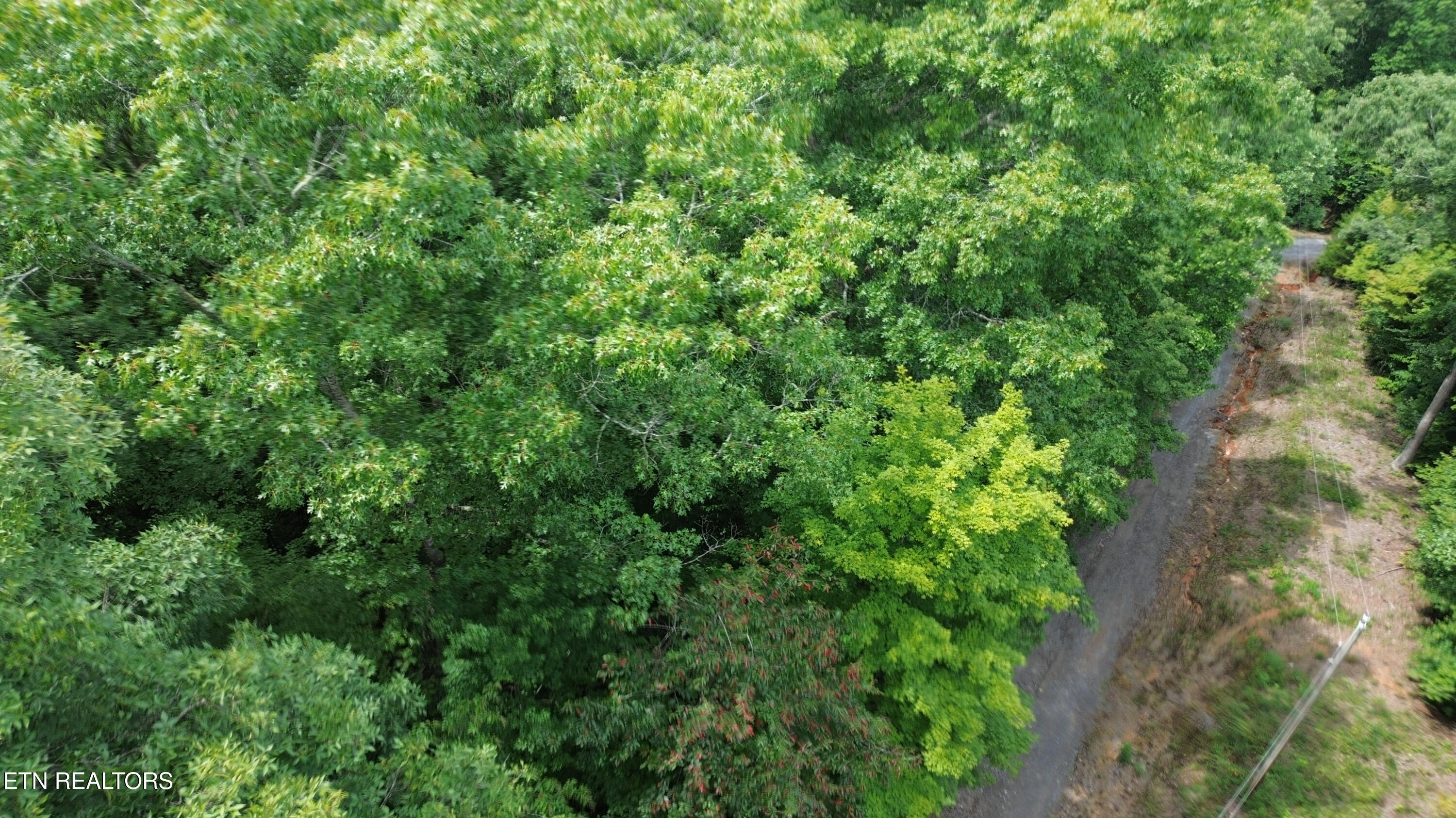 Lot 36 Bass Haven Drive Sharps Chapel TN 37866
