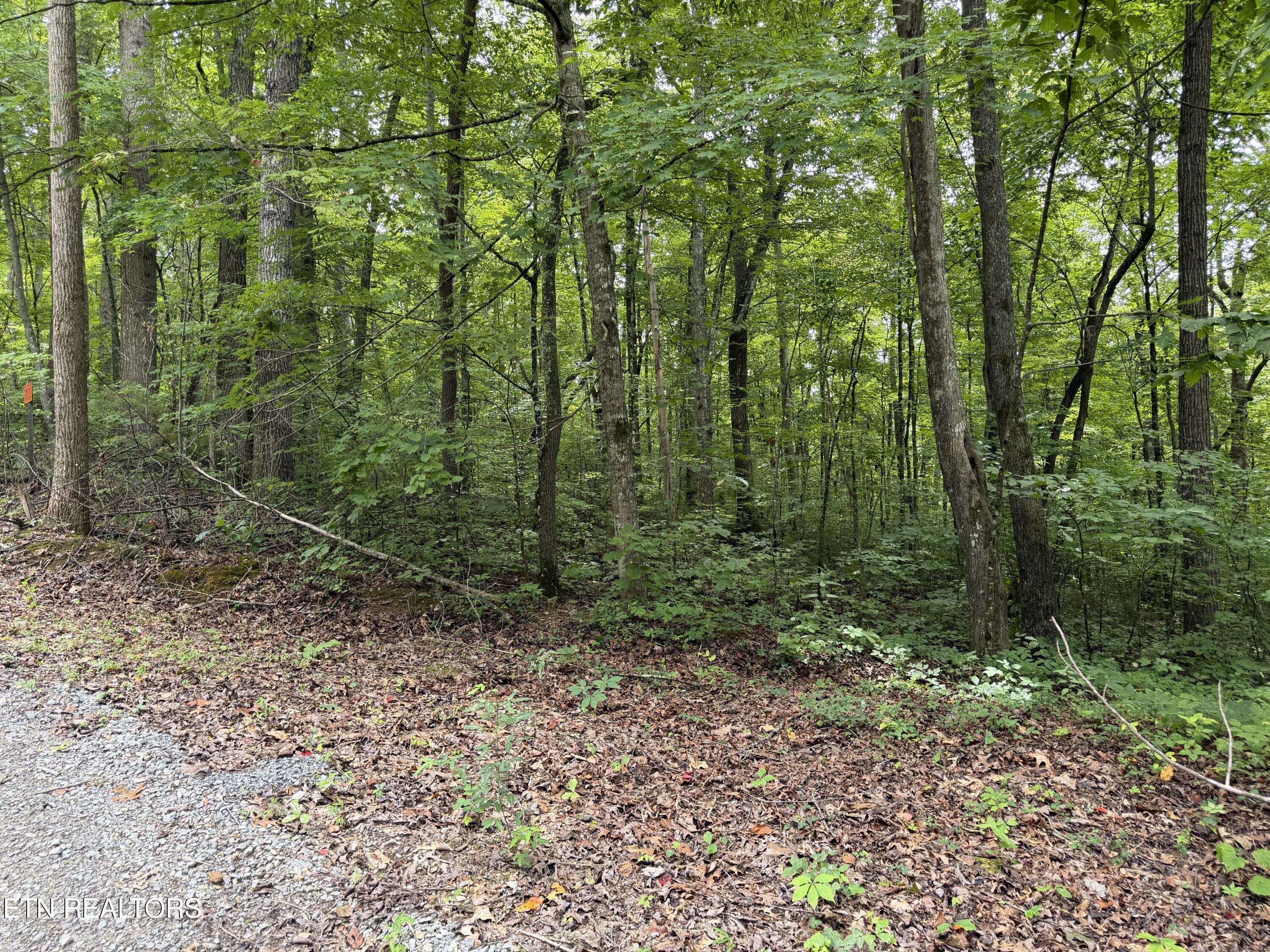 Lot 36 Bass Haven Drive Sharps Chapel TN 37866