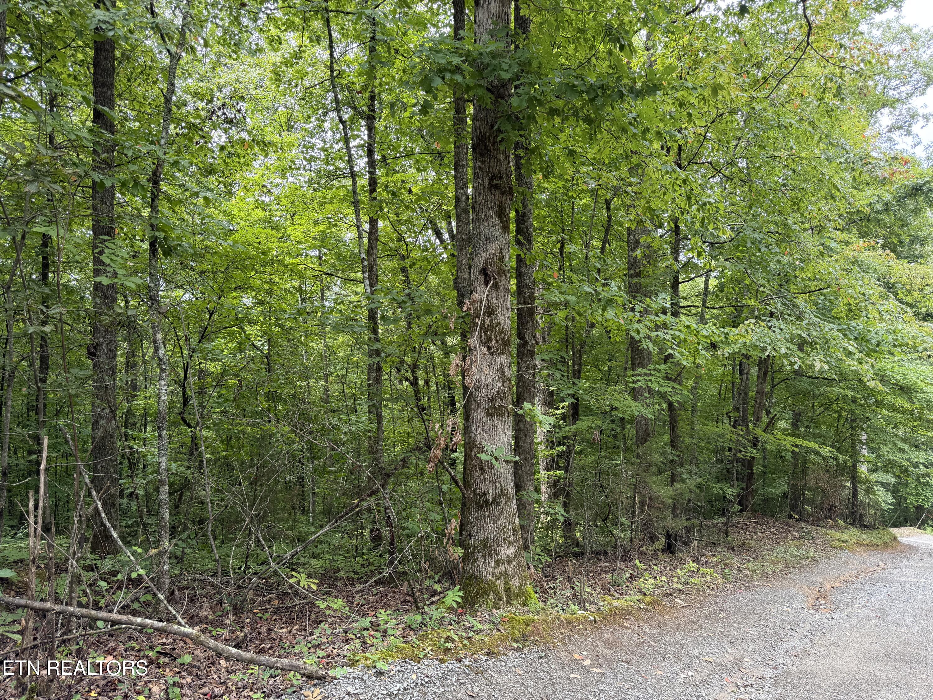 Lot 36 Bass Haven Drive Sharps Chapel TN 37866