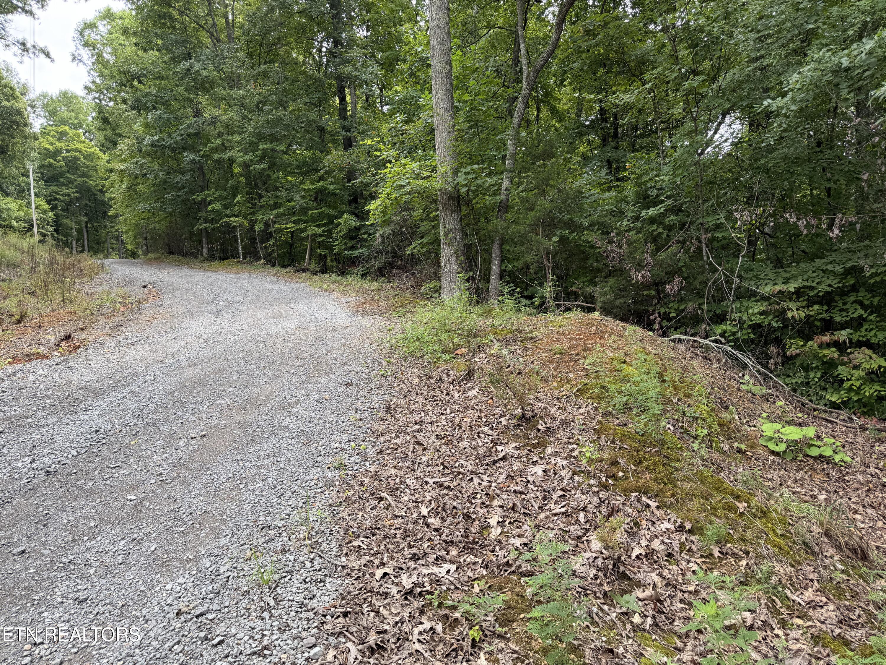 Lot 36 Bass Haven Drive Sharps Chapel TN 37866