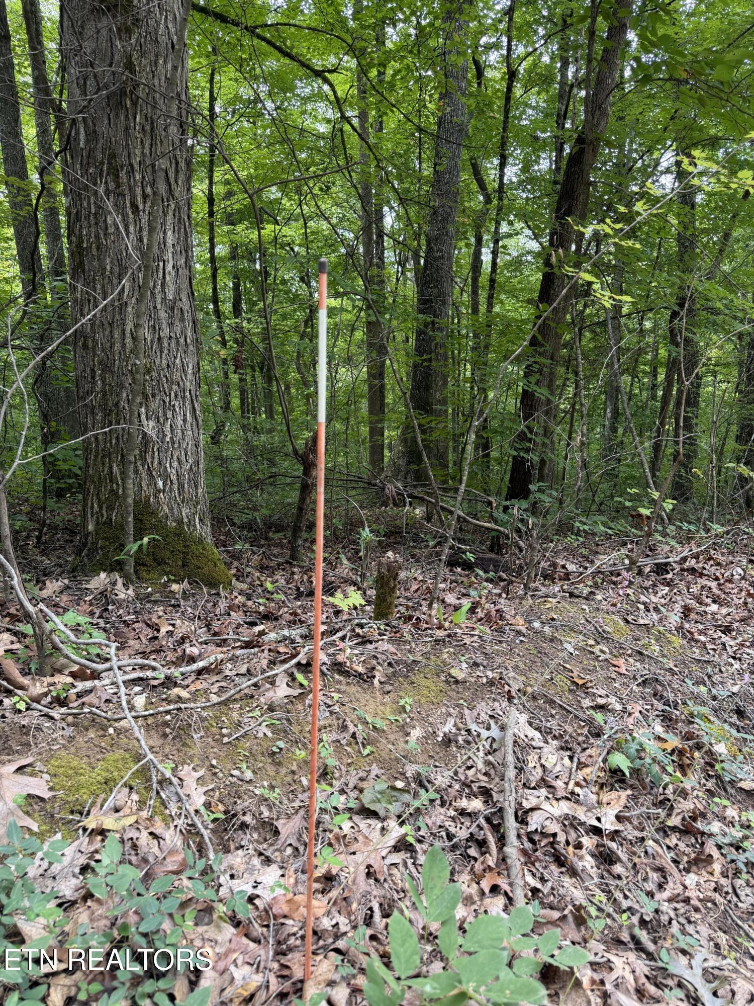 Lot 36 Bass Haven Drive Sharps Chapel TN 37866