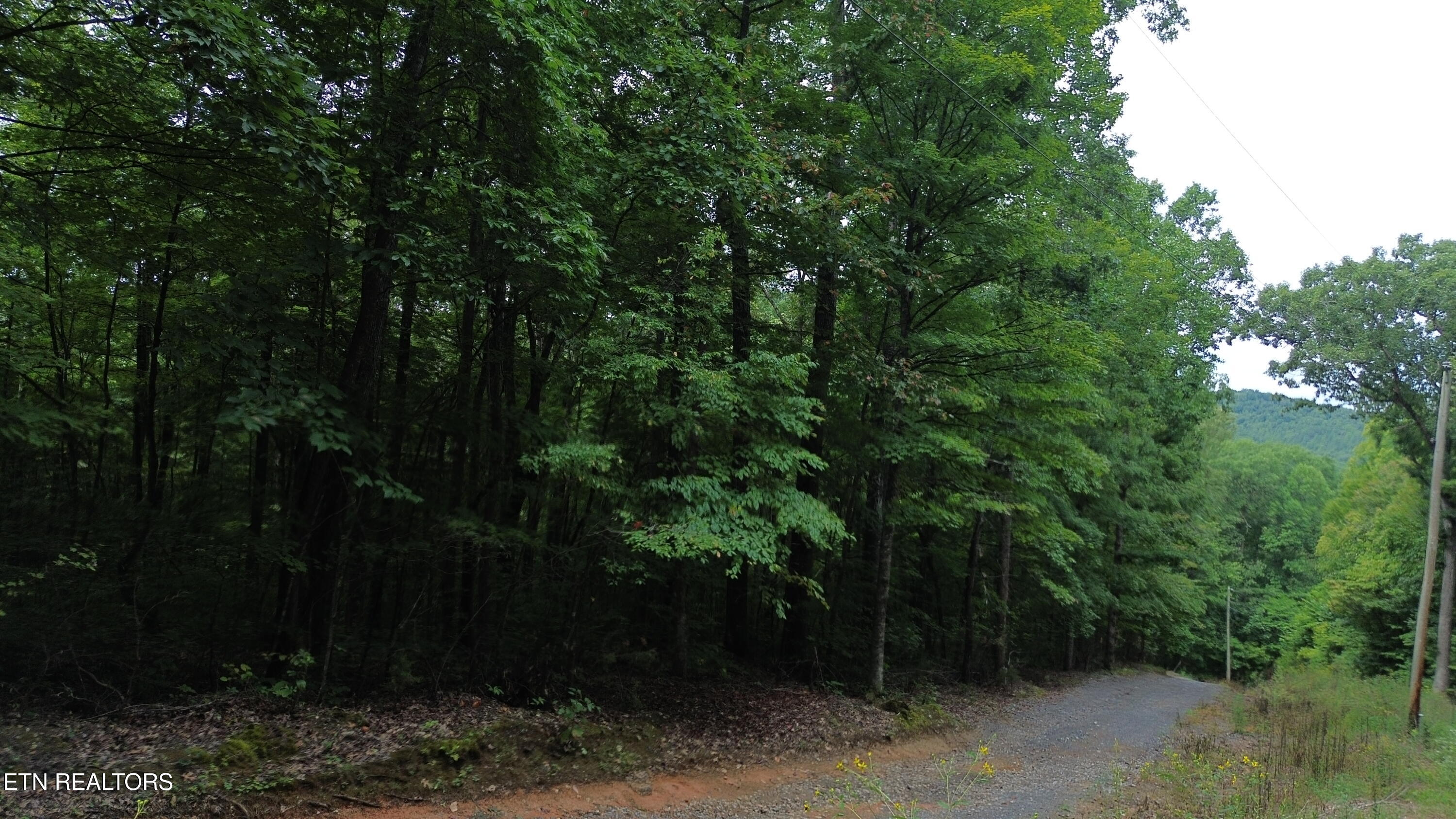 Lot 36 Bass Haven Drive Sharps Chapel TN 37866