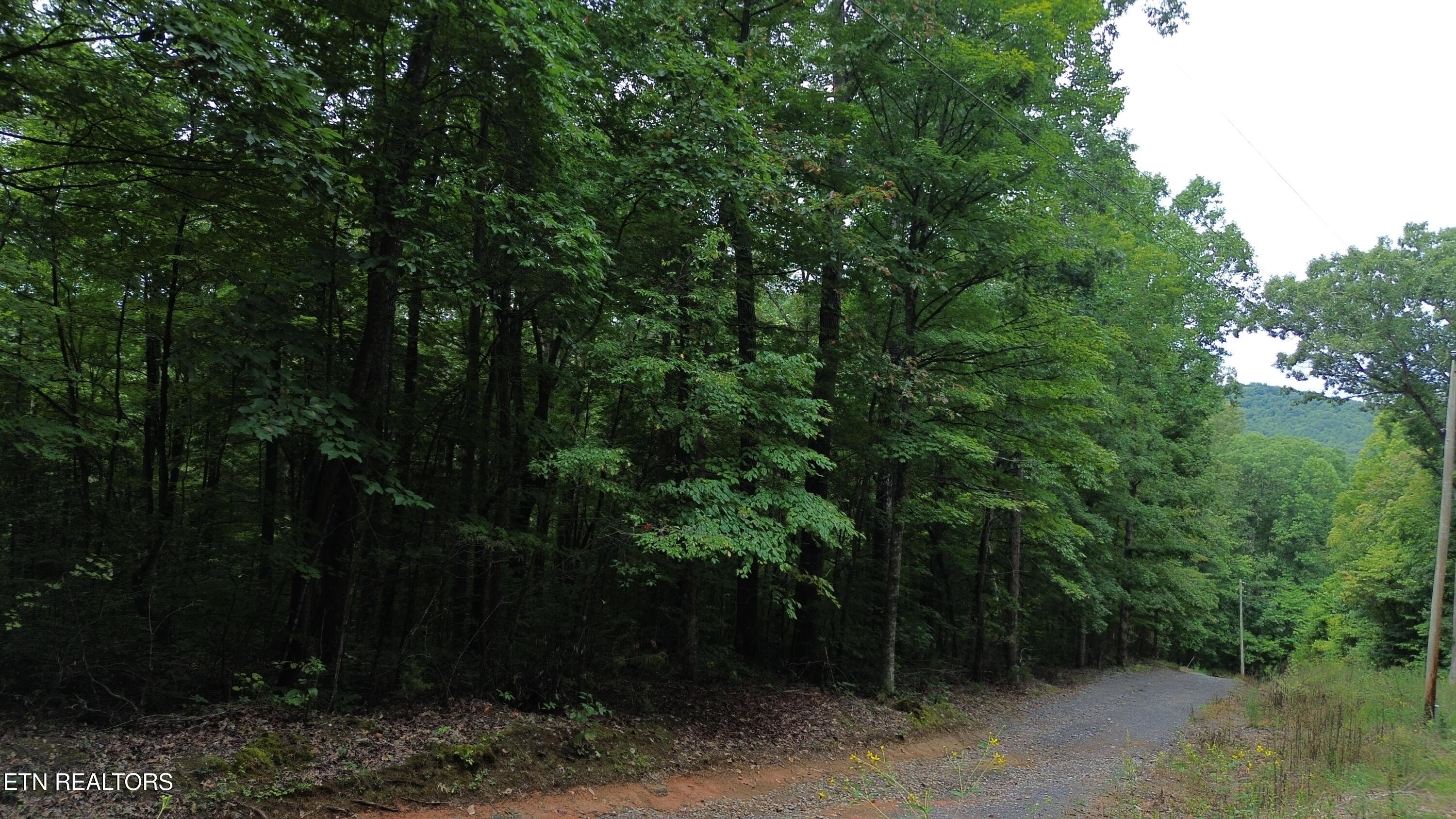 Lot 36 Bass Haven Drive Sharps Chapel TN 37866