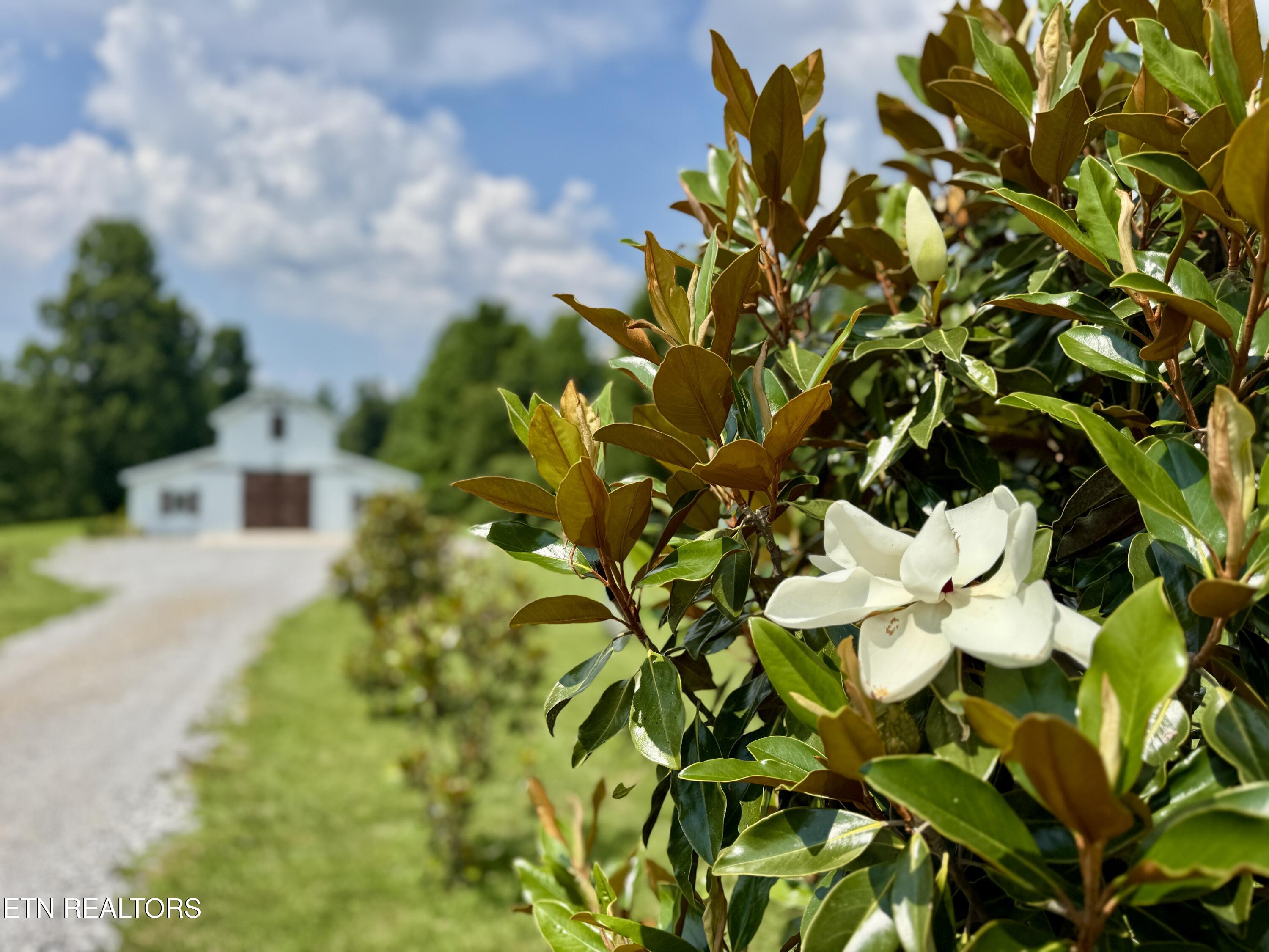 387 Red Williams Road Crossville TN 38555