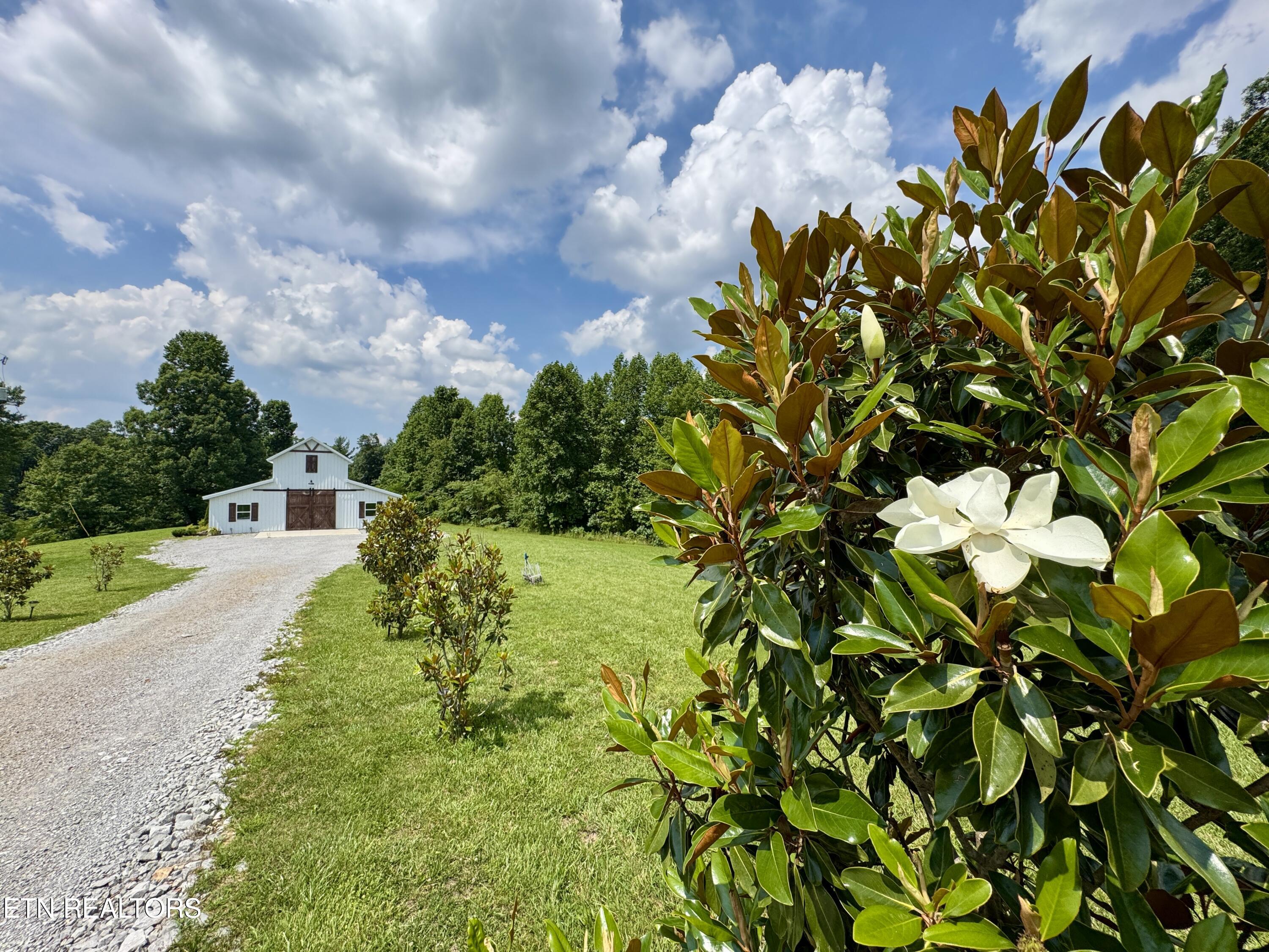 387 Red Williams Road Crossville TN 38555
