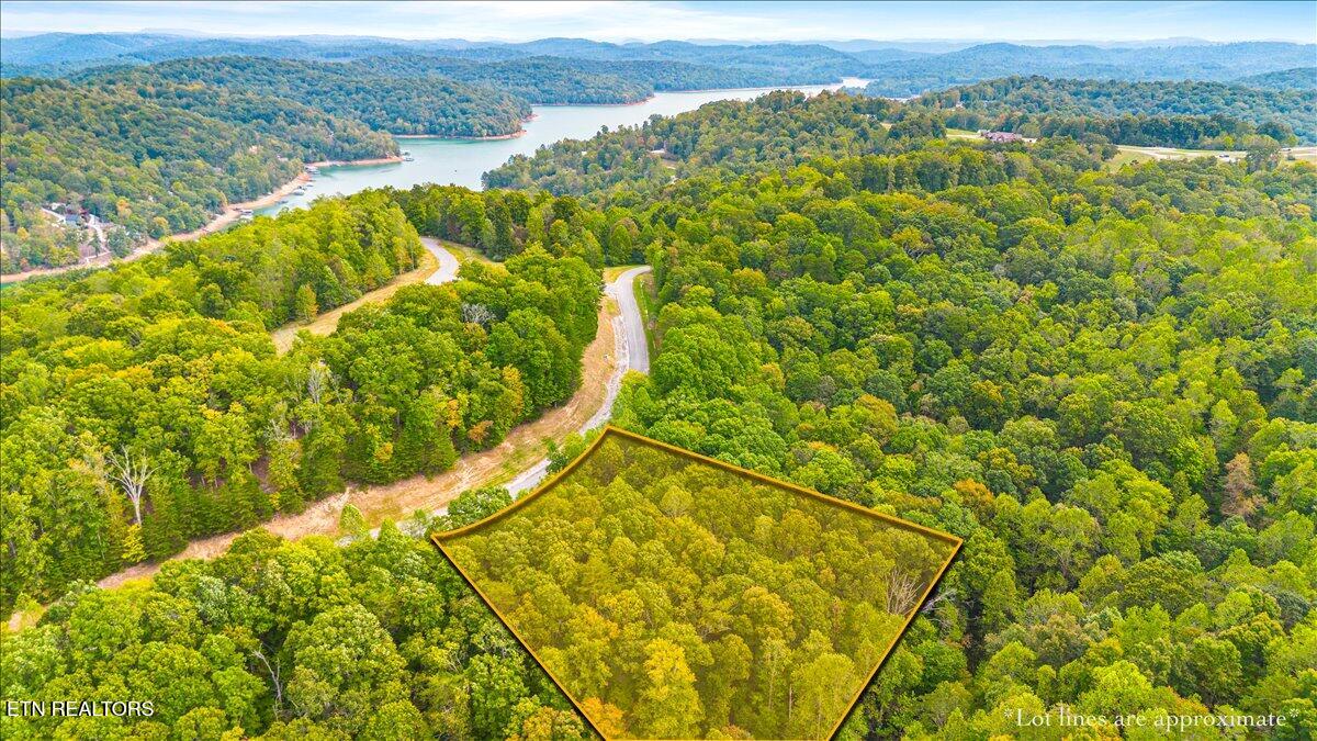 Lot 125 Old Hearth Drive Lafollette TN 37766