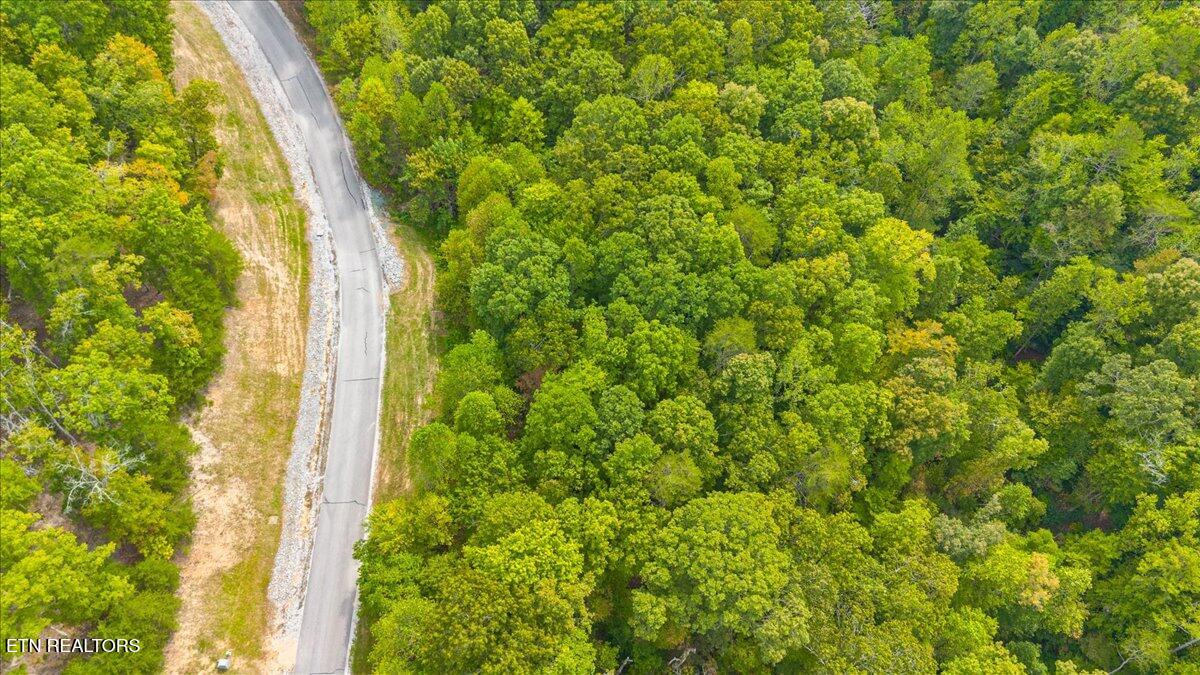 Lot 125 Old Hearth Drive Lafollette TN 37766