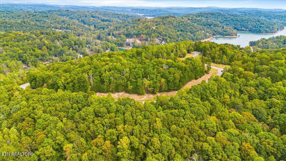 Lot 125 Old Hearth Drive Lafollette TN 37766