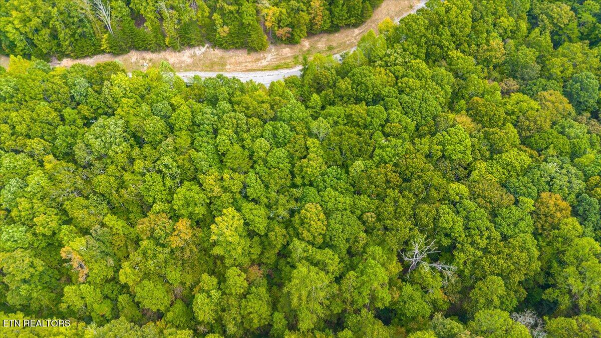Lot 125 Old Hearth Drive Lafollette TN 37766