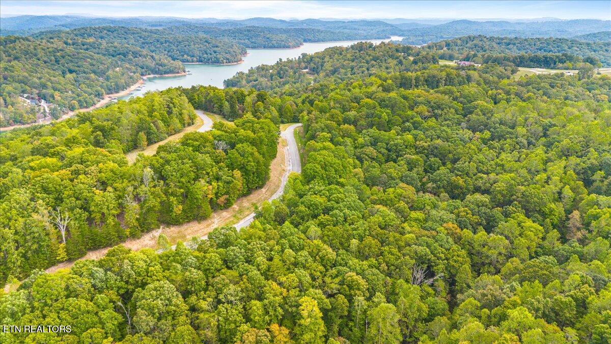 Lot 125 Old Hearth Drive Lafollette TN 37766