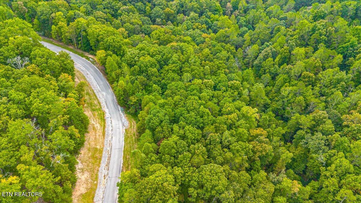 Lot 125 Old Hearth Drive Lafollette TN 37766